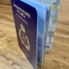 IMG_3707 Pay for your Gaplan Passport