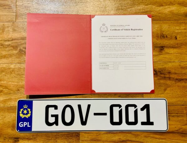 e564c6af9367a8c43410638e75cf8a5968ac9658-1 (1) License Plate and Vehicle Registration